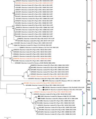 Milk lactose protects against porcine group A rotavirus infection